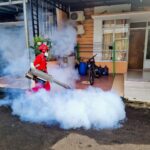 Virus Zika : Kenali Gejala dan Cara Menanggulanginya