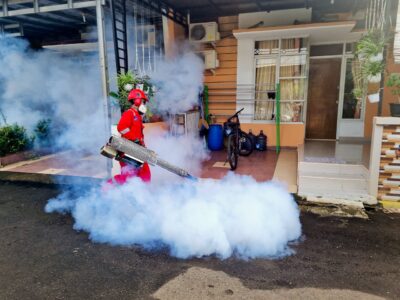 Virus Zika : Kenali Gejala dan Cara Menanggulanginya