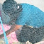 Cegah Malaria Pasca Gempa dengan Kelambu