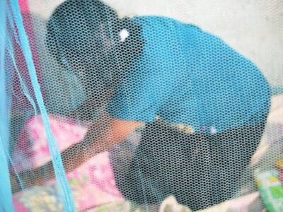 Cegah Malaria Pasca Gempa dengan Kelambu