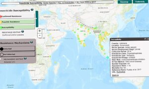 Read more about the article Tracking Chikunguya, Mapping Zika